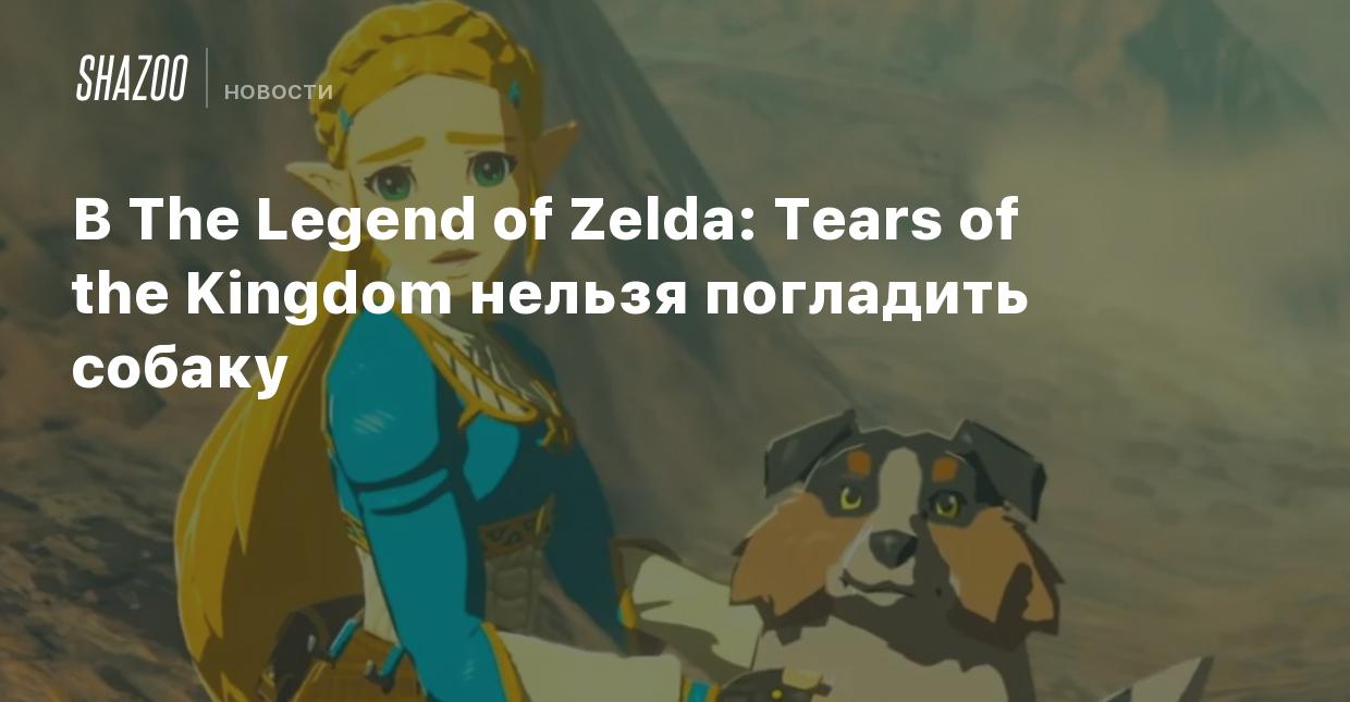 В The Legend of Zelda: Tears of the Kingdom нельзя погладить собаку - Shazoo