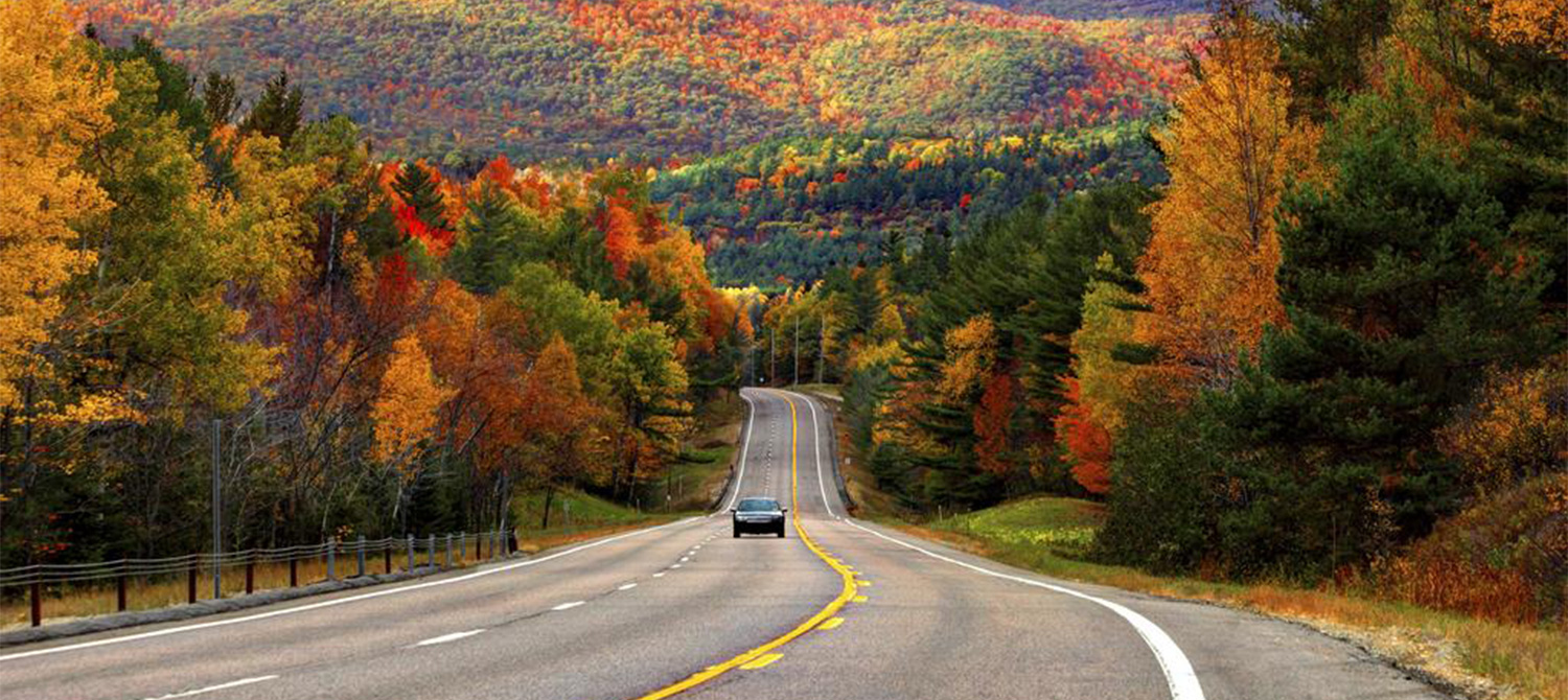 ИИ помог полиции идентифицировать наркоторговца, анализируя его манеру вождения