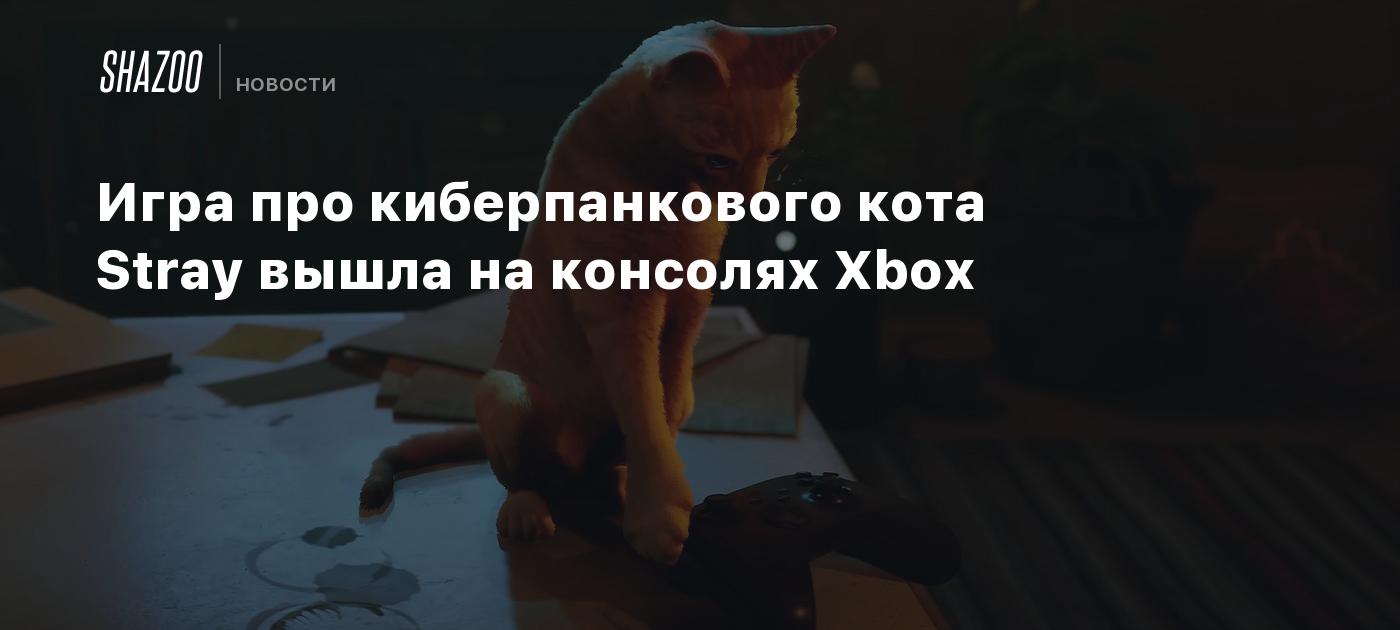 Игра про киберпанкового кота Stray вышла на консолях Xbox - Shazoo