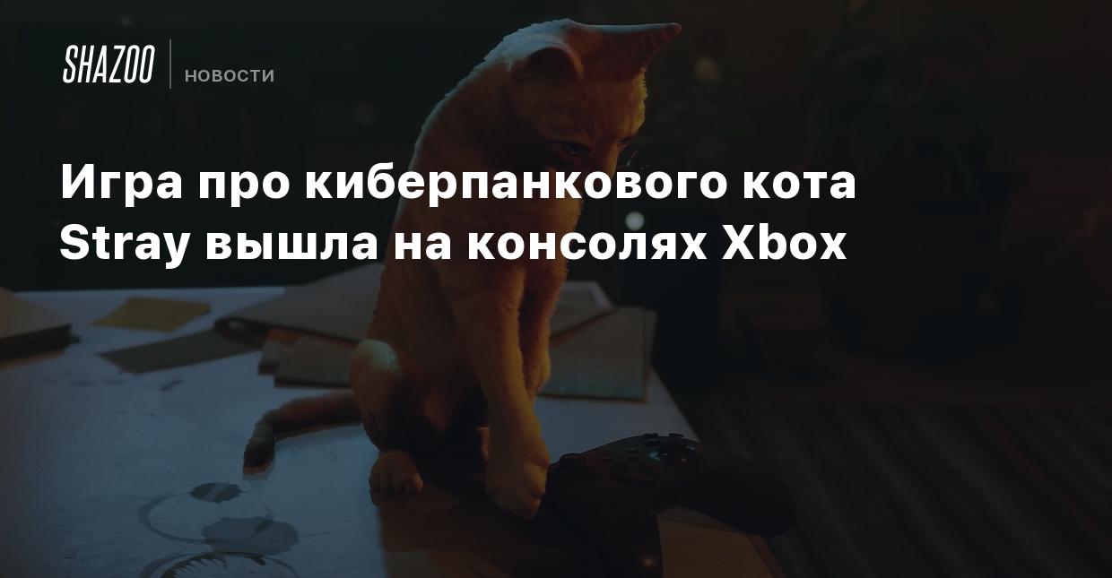 Игра про киберпанкового кота Stray вышла на консолях Xbox - Shazoo