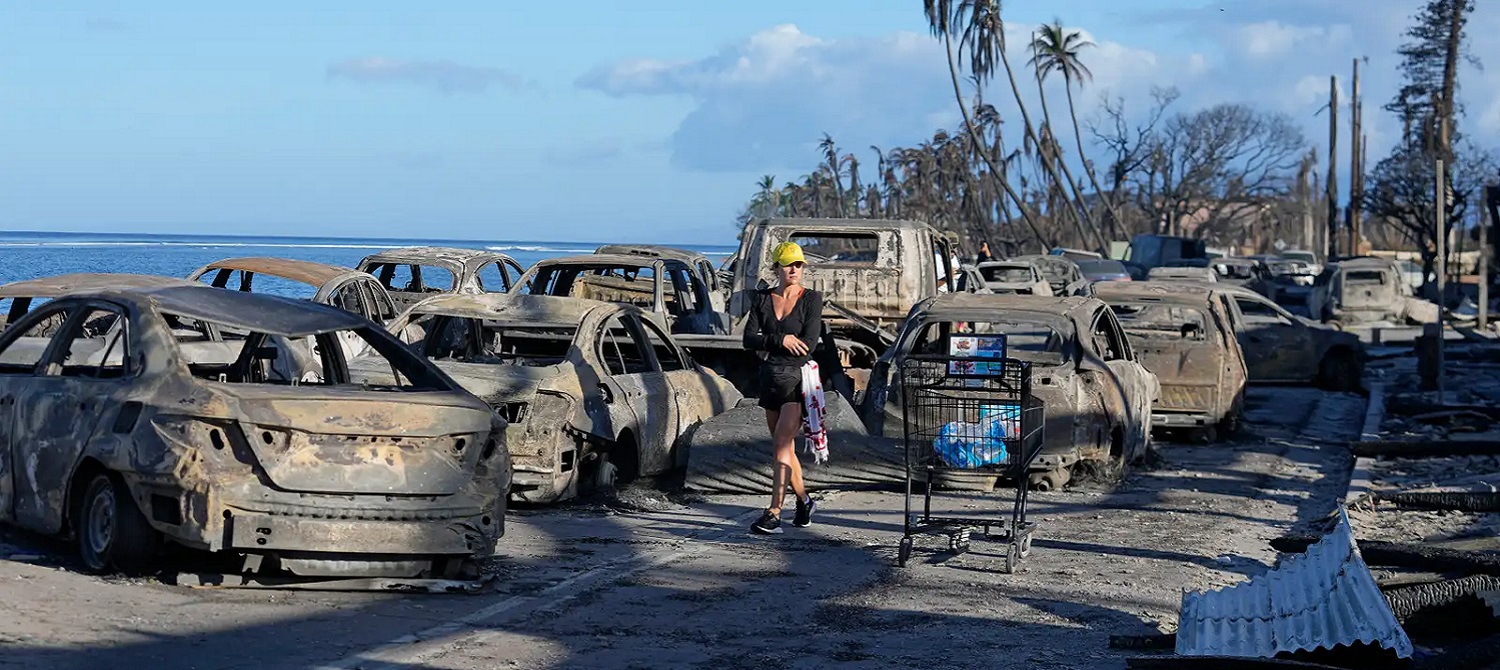 Pokemon Company пожертвовала 200 тысяч долларов пострадавшим от пожаров на острове Мауи