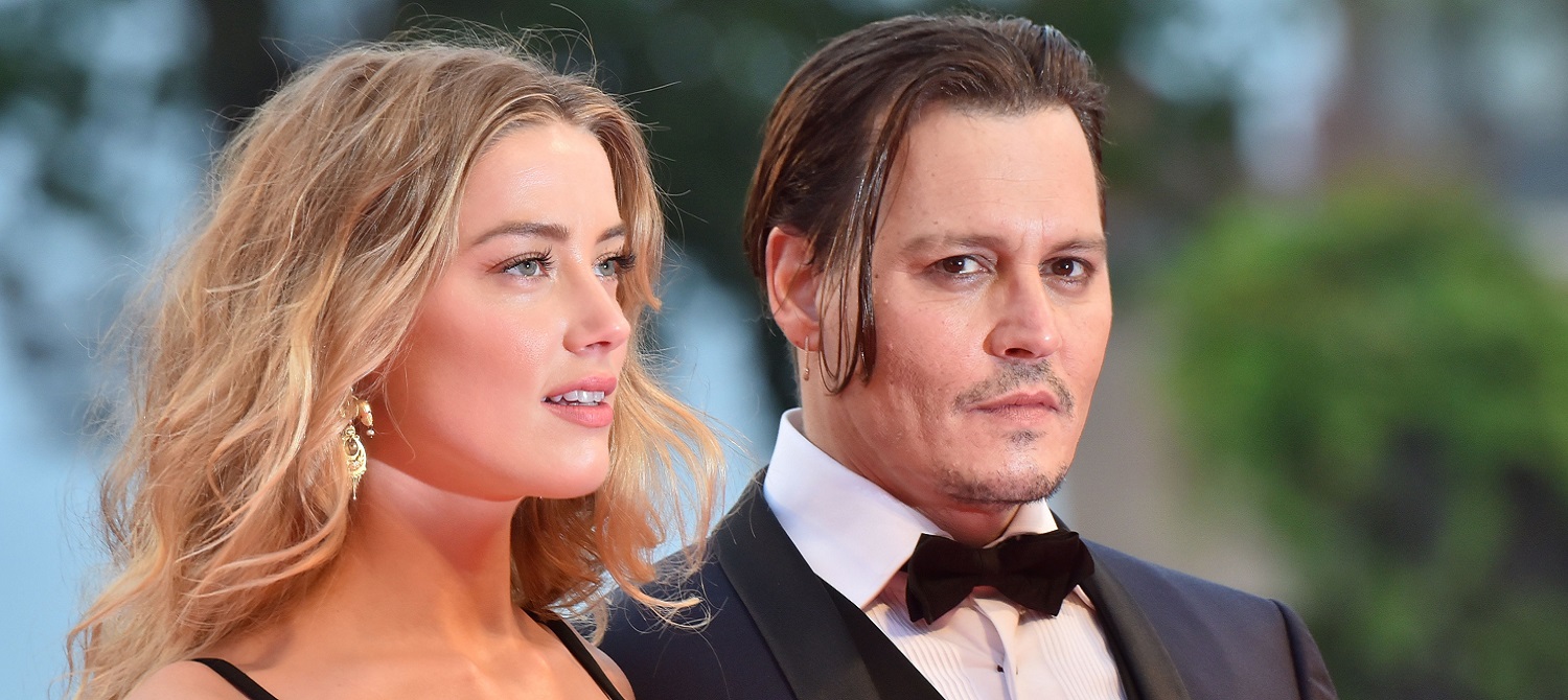 Элис Купер предложил снять ремейк «Войны супругов Роуз» с Джонни Деппом, Эмбер Херд, Брэдом Питтом и Анджелиной Джоли