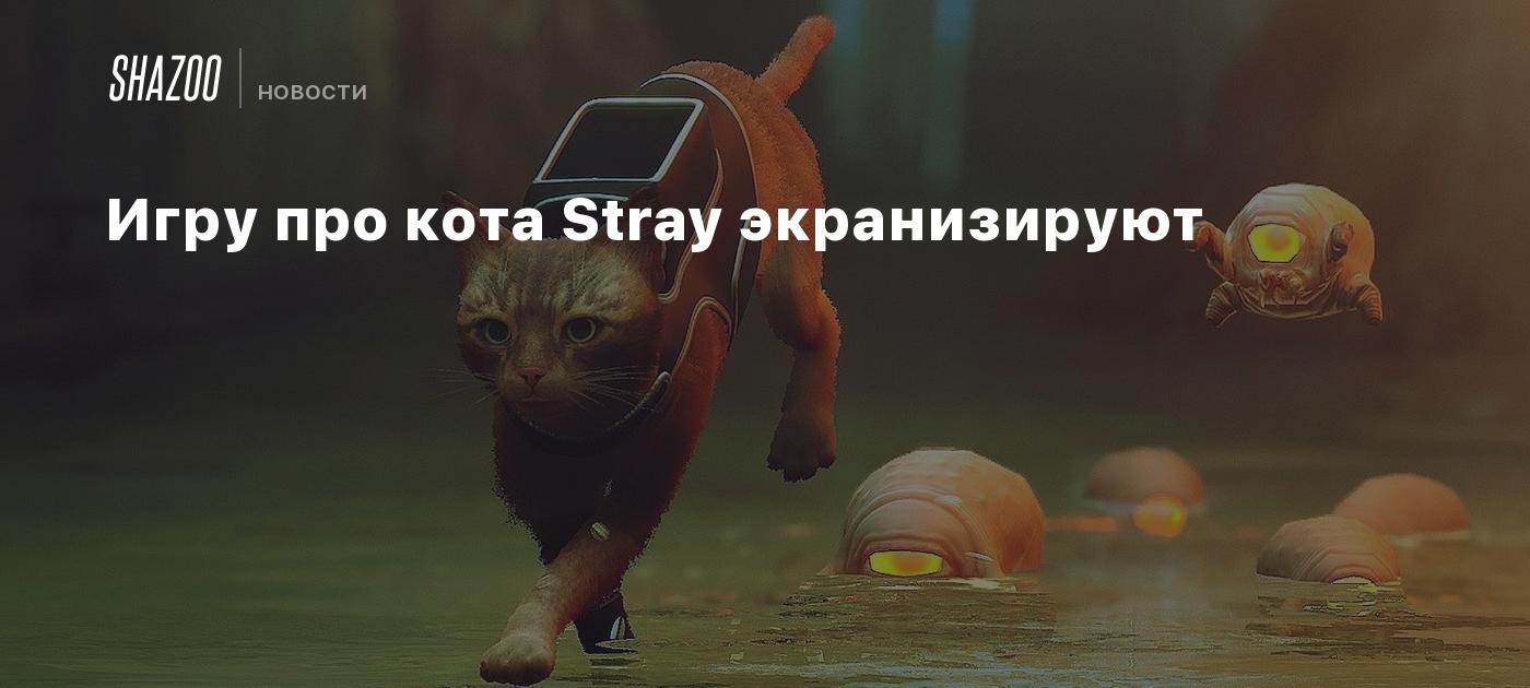 Игру про кота Stray экранизируют - Shazoo