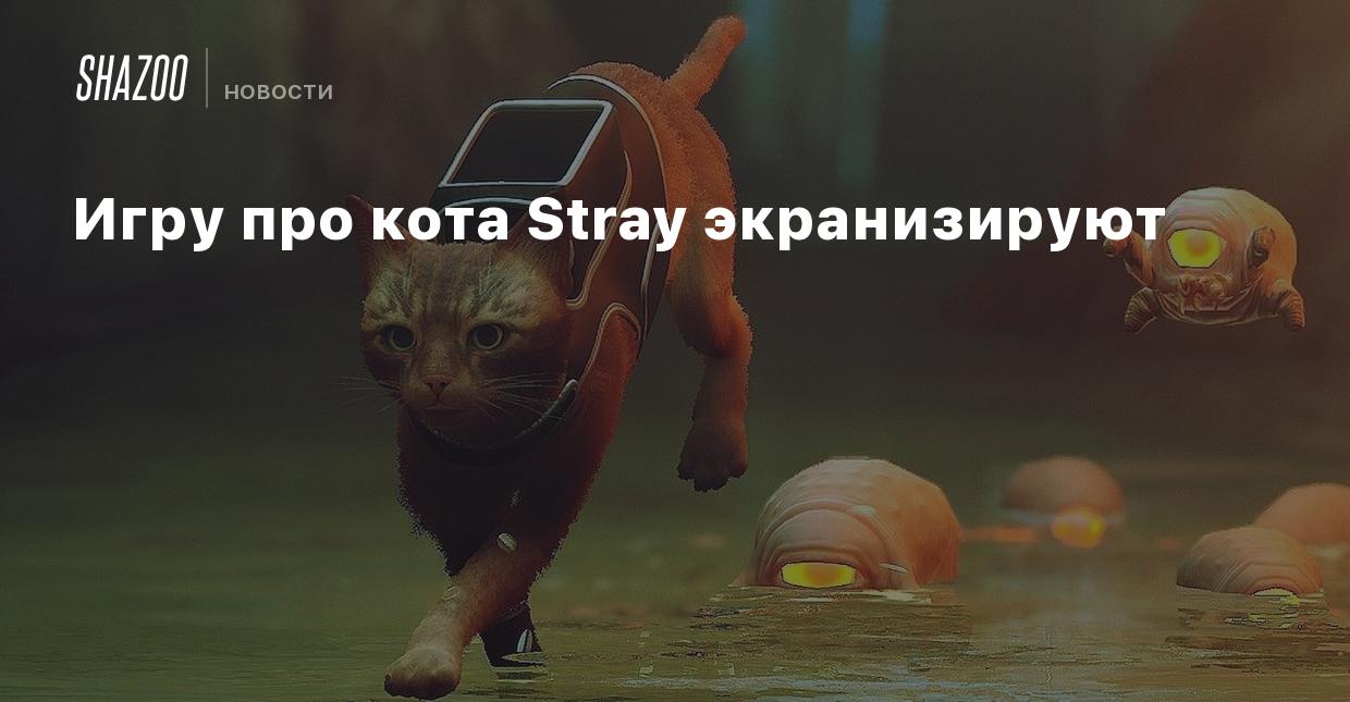 Игру про кота Stray экранизируют - Shazoo