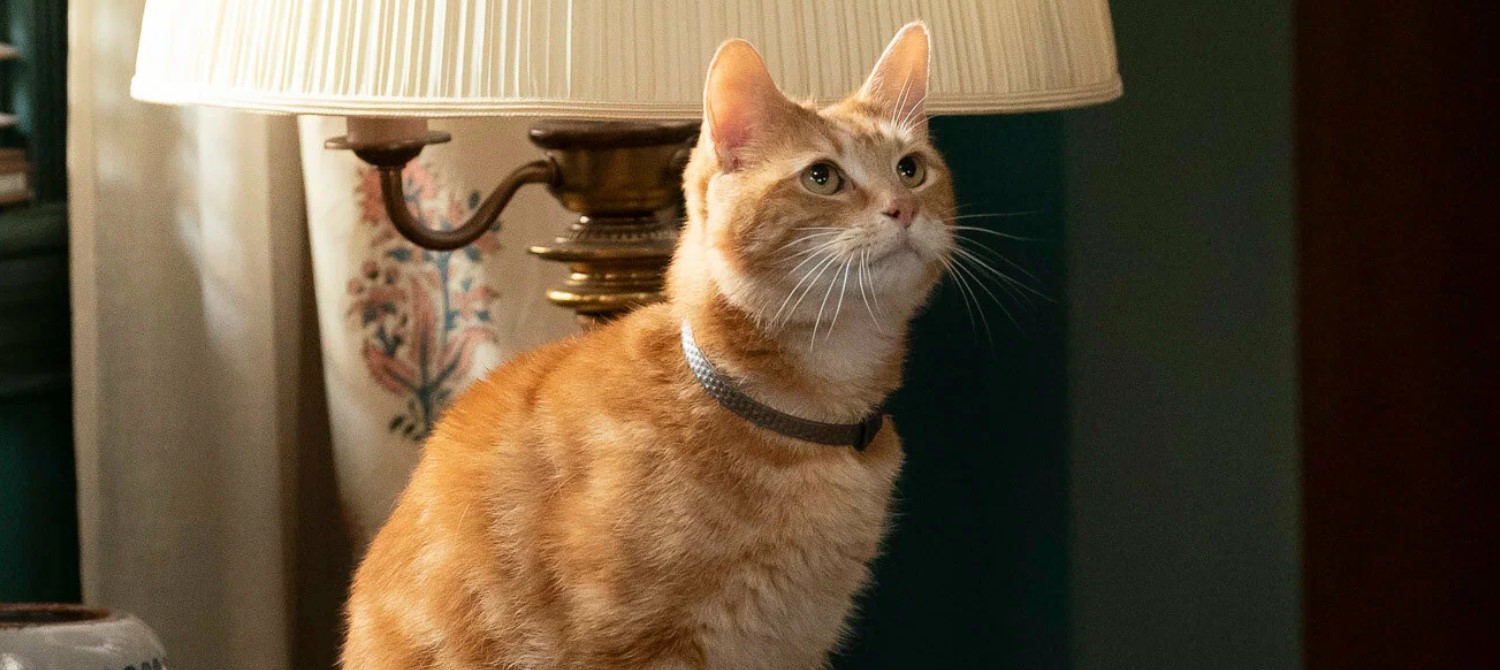 Новый IMAX-тизер «Марвелов» Новый IMAX-тизер «Марвелов»