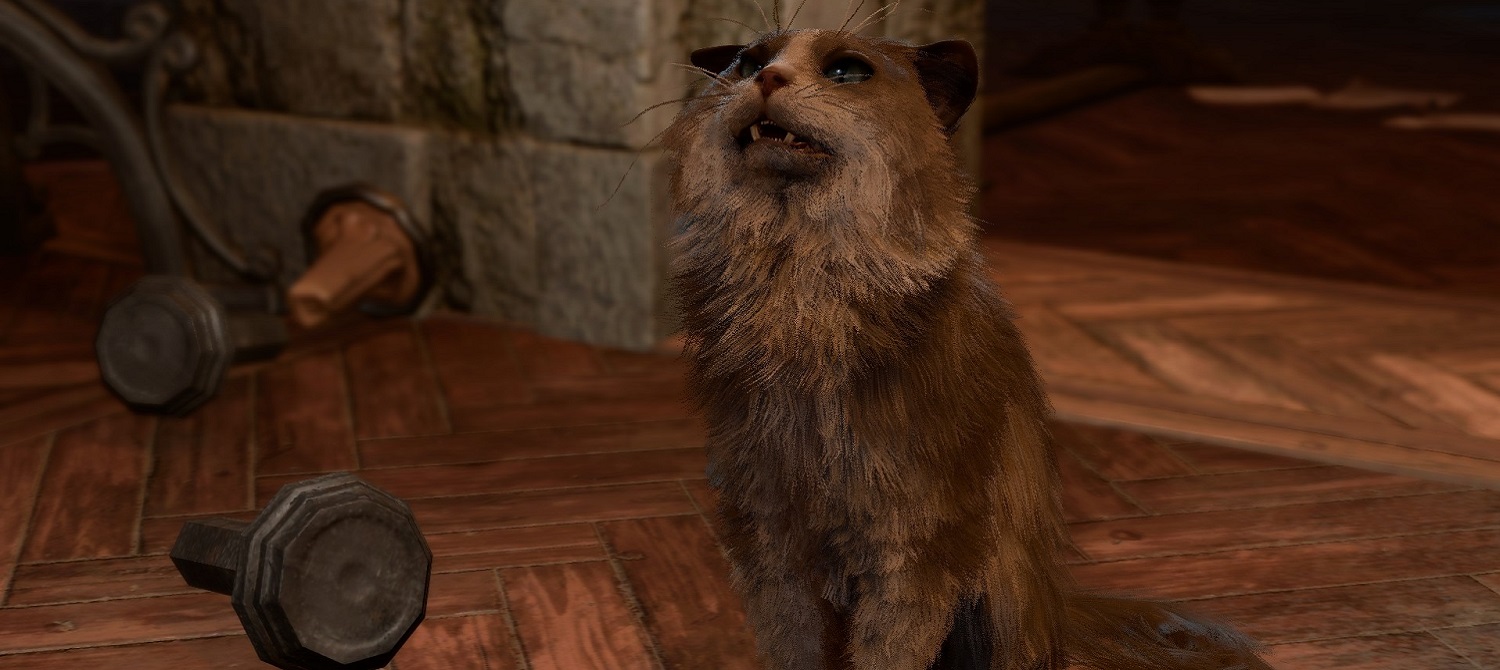 Геймеры недовольны изменениями инвентаря в недавнем патче Baldur’s Gate 3 — похоже, что это баг