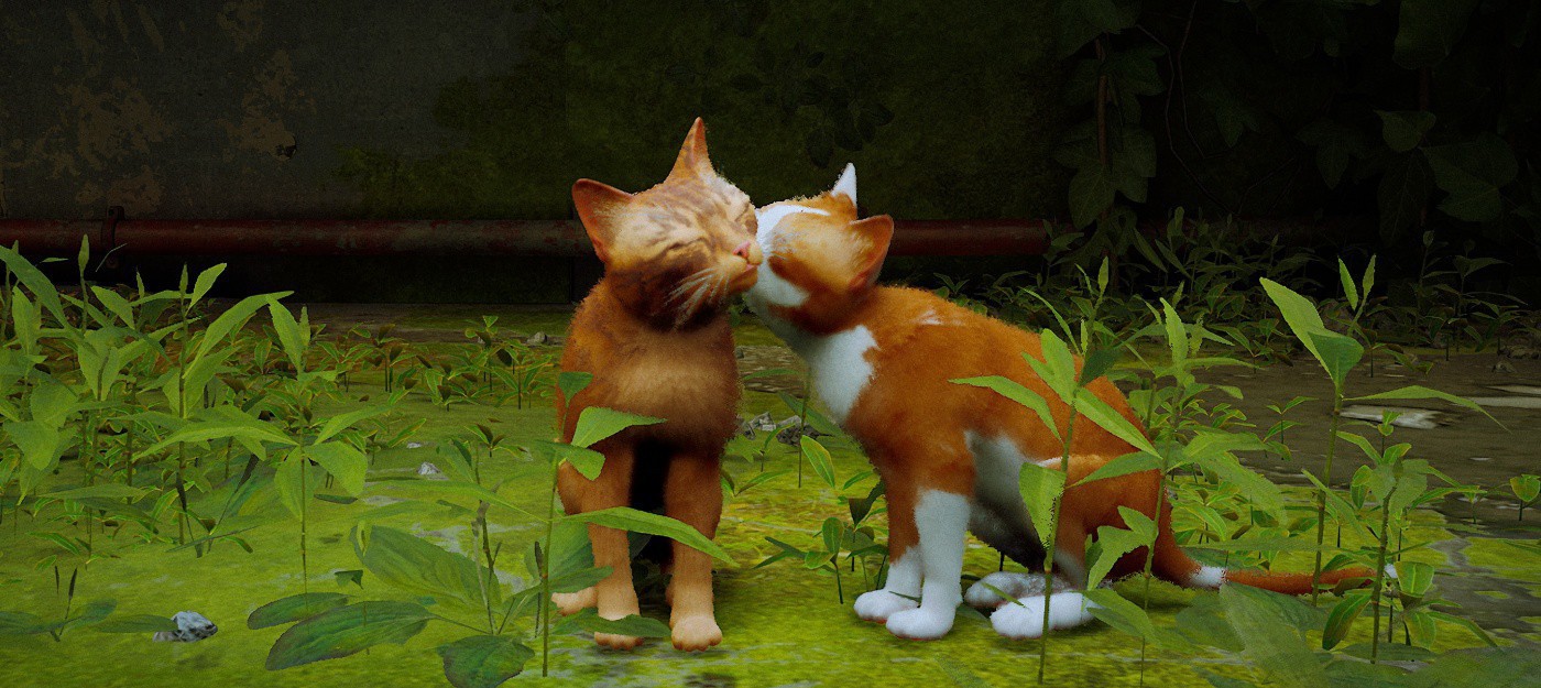 5 декабря Stray выйдет на macOS