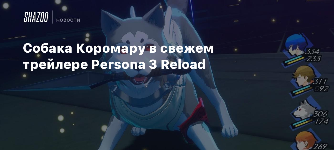 Собака Коромару в свежем трейлере Persona 3 Reload - Shazoo