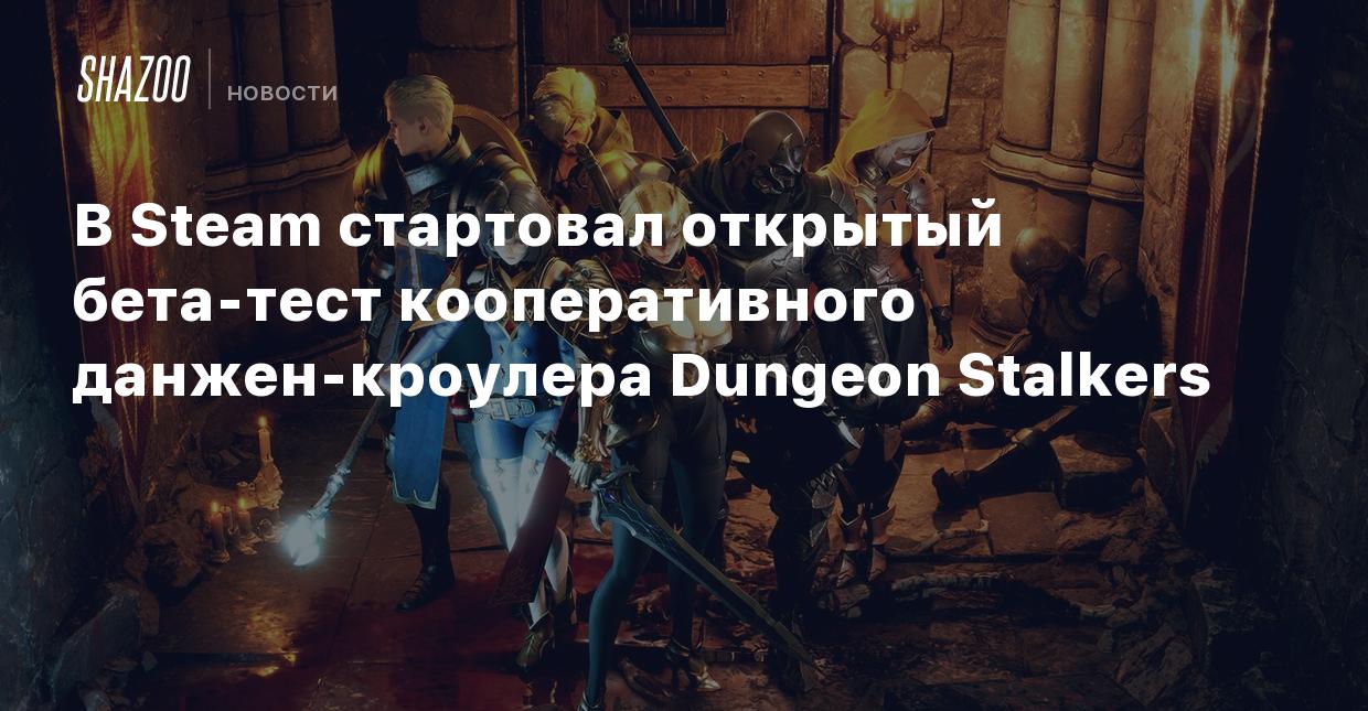 В Steam стартовал открытый бета-тест кооперативного данжен-кроулера Dungeon  Stalkers - Shazoo