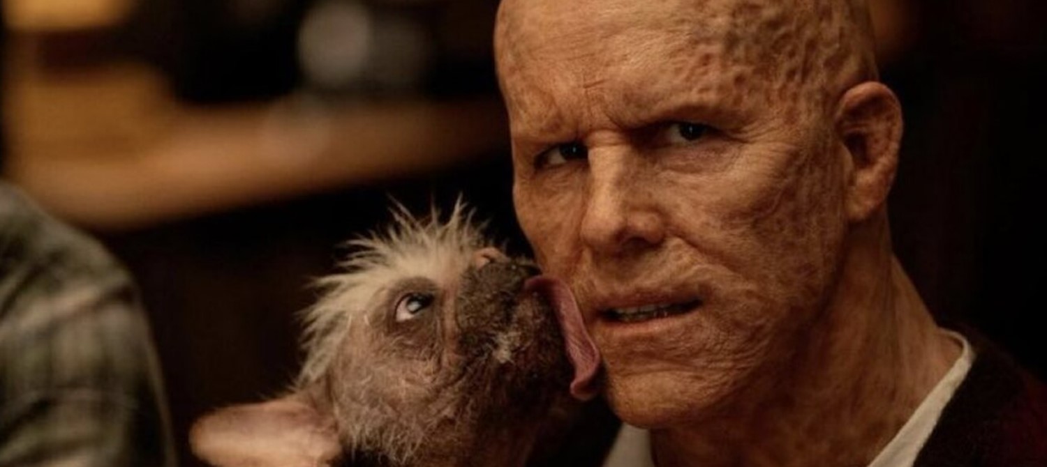 Близкий взгляд на Догпула и Уэйда на фото со съемок «Дэдпула 3»