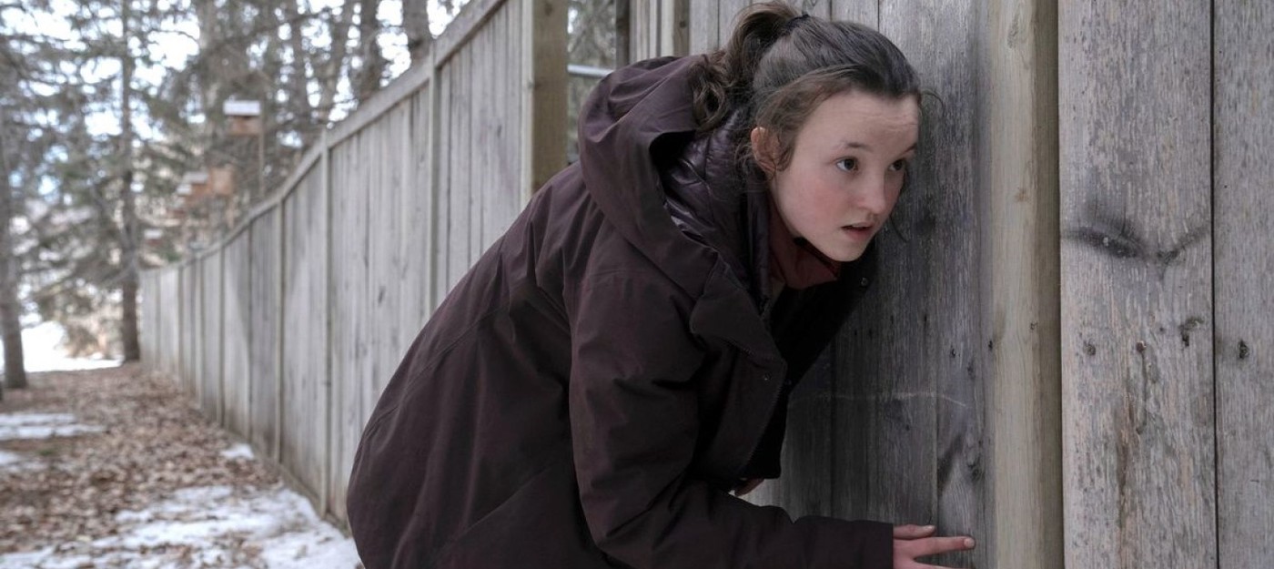 TorrentFreak: Сериал по The Last of Us стал самым популярным у пиратов в 2023 году