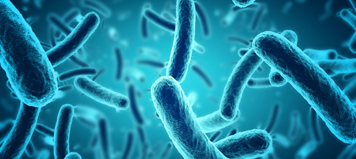 Швейцарские ученые обнаружили десятки новых видов бактерий Швейцарские ученые обнаружили десятки новых видов бактерий