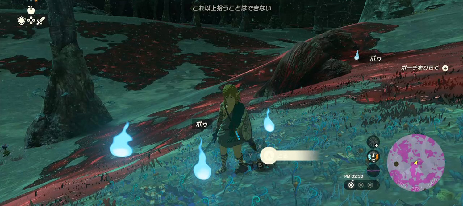 Игрок в Tears of the Kingdom потратил 1885 часов на сбор 999 999 По из любопытства