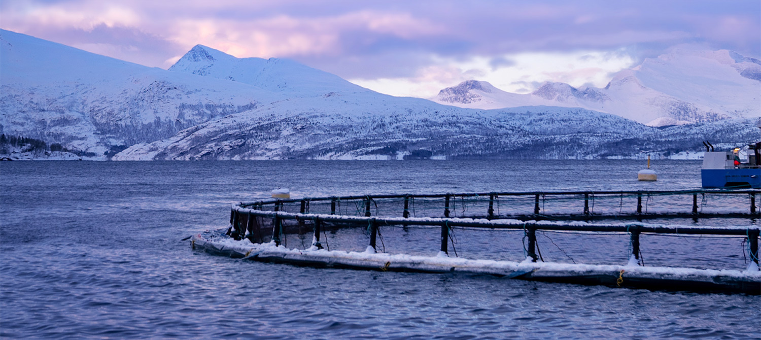 Alphabet увольняет десятки сотрудников в лаборатории перспективных разработок