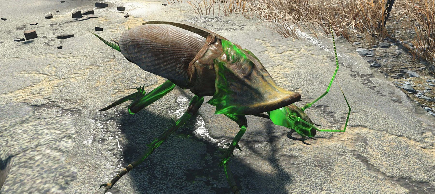 Игрок Fallout задал действительно важный вопрос: вы могли бы одолеть радтаракана голыми руками? Игрок Fallout задал действительно важный вопрос: вы могли бы одолеть радтаракана голыми руками?