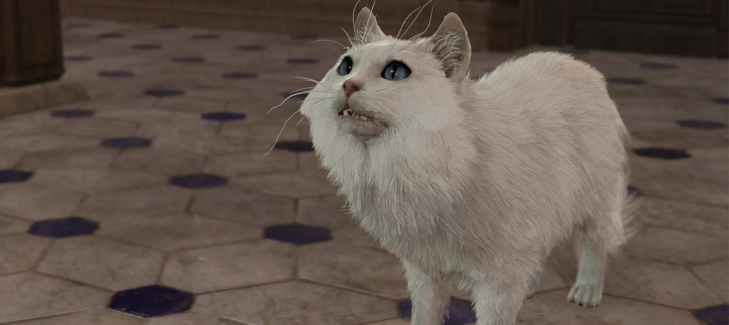 Игрок в Baldur’s Gate 3 раскрыл преимущества прохождения всей игры котом