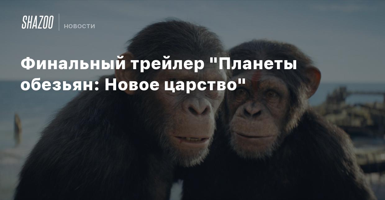 Финальный трейлер 