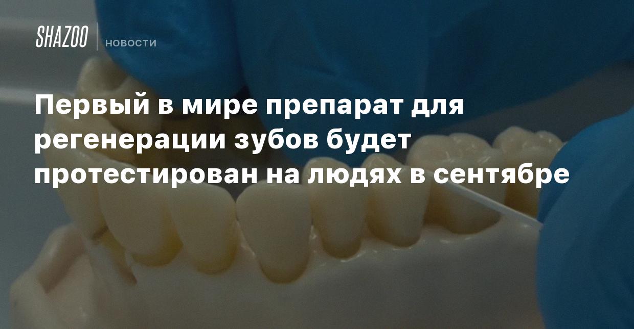 Первый в мире препарат для регенерации зубов будет протестирован на людях в  сентябре - Shazoo