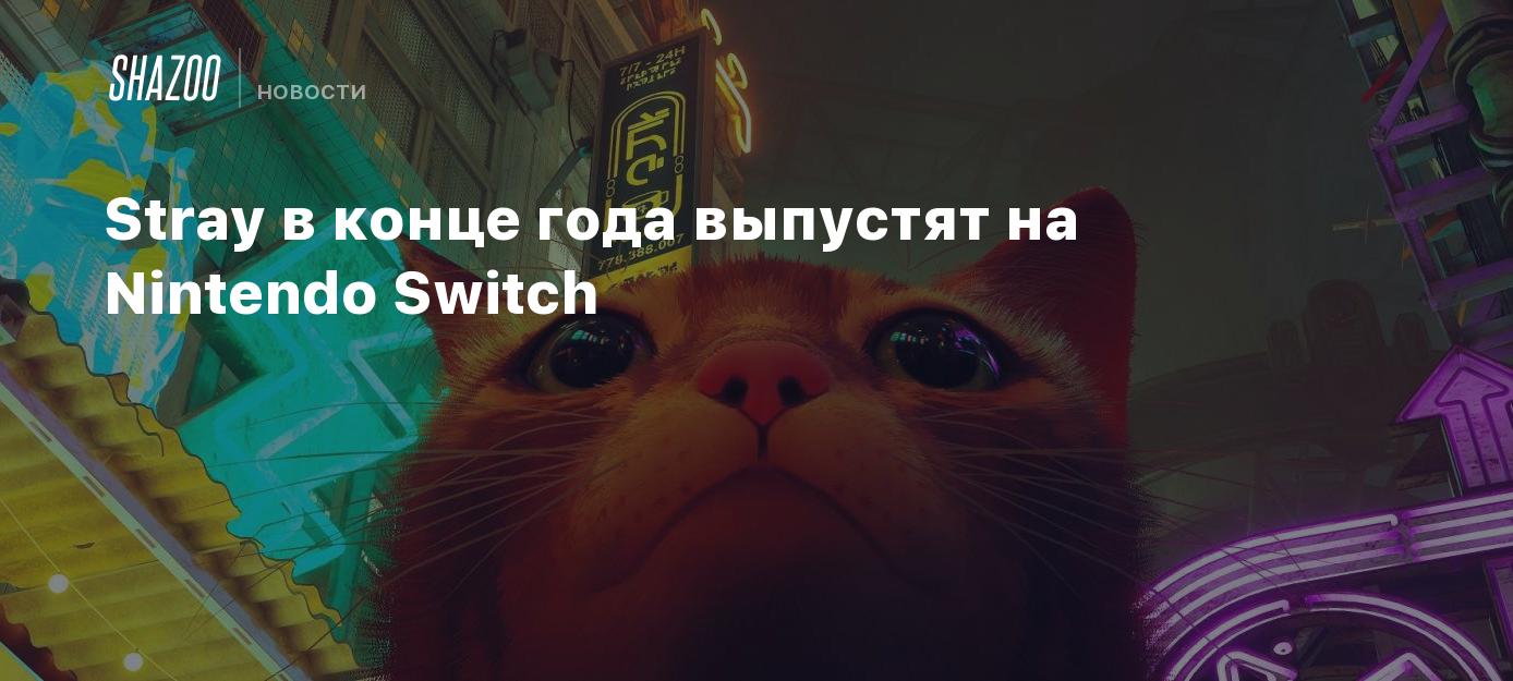 Stray в конце года выпустят на Nintendo Switch - Shazoo