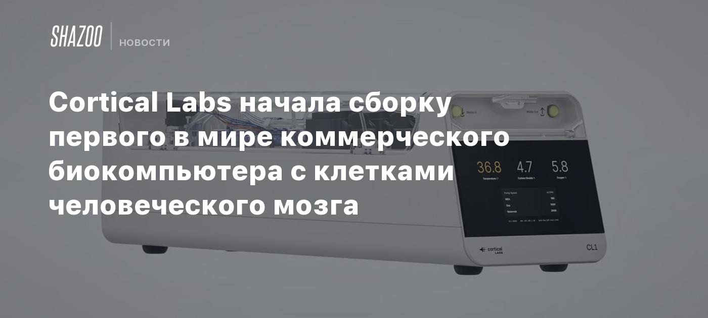 Cortical Labs начала сборку первого в мире коммерческого биокомпьютера с клетками человеческого мозга