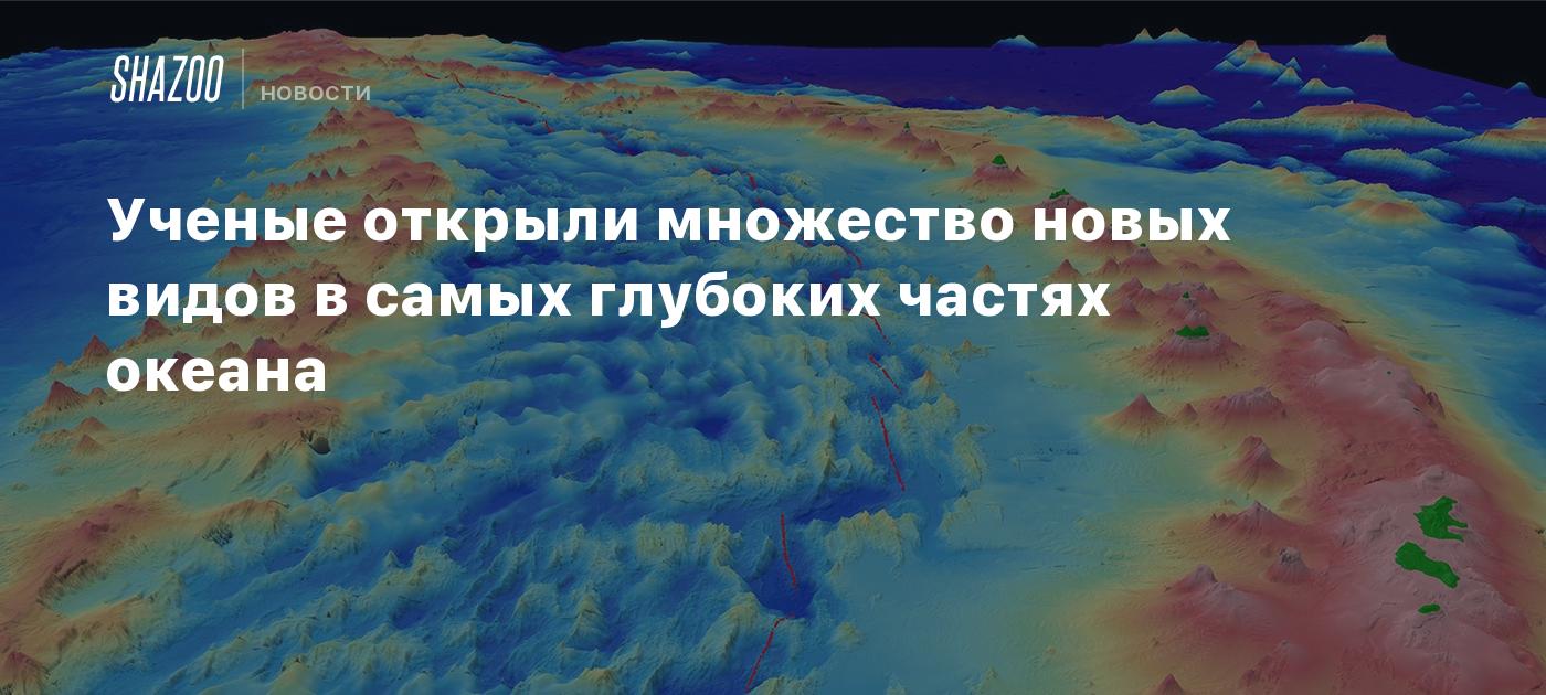 Ученые открыли множество новых видов в самых глубоких частях океана