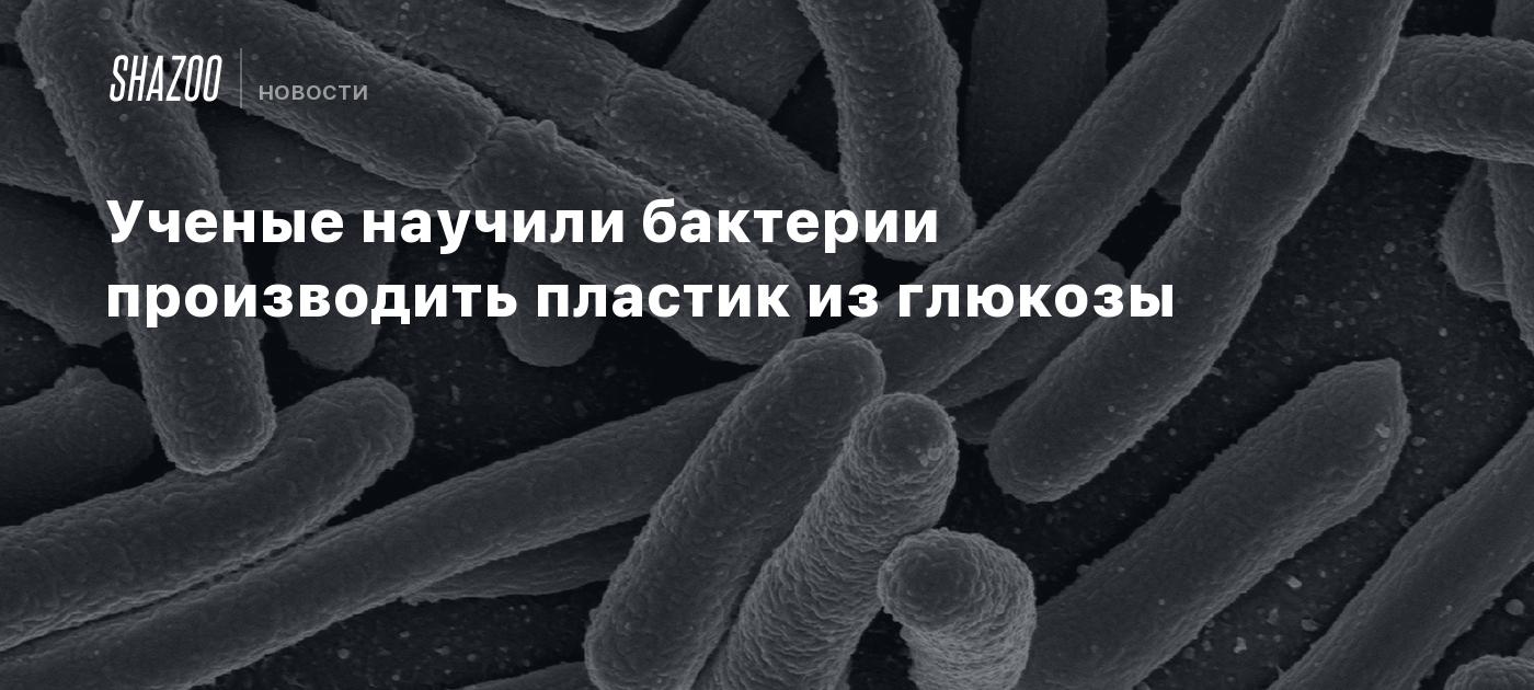 Ученые научили бактерии производить пластик из глюкозы