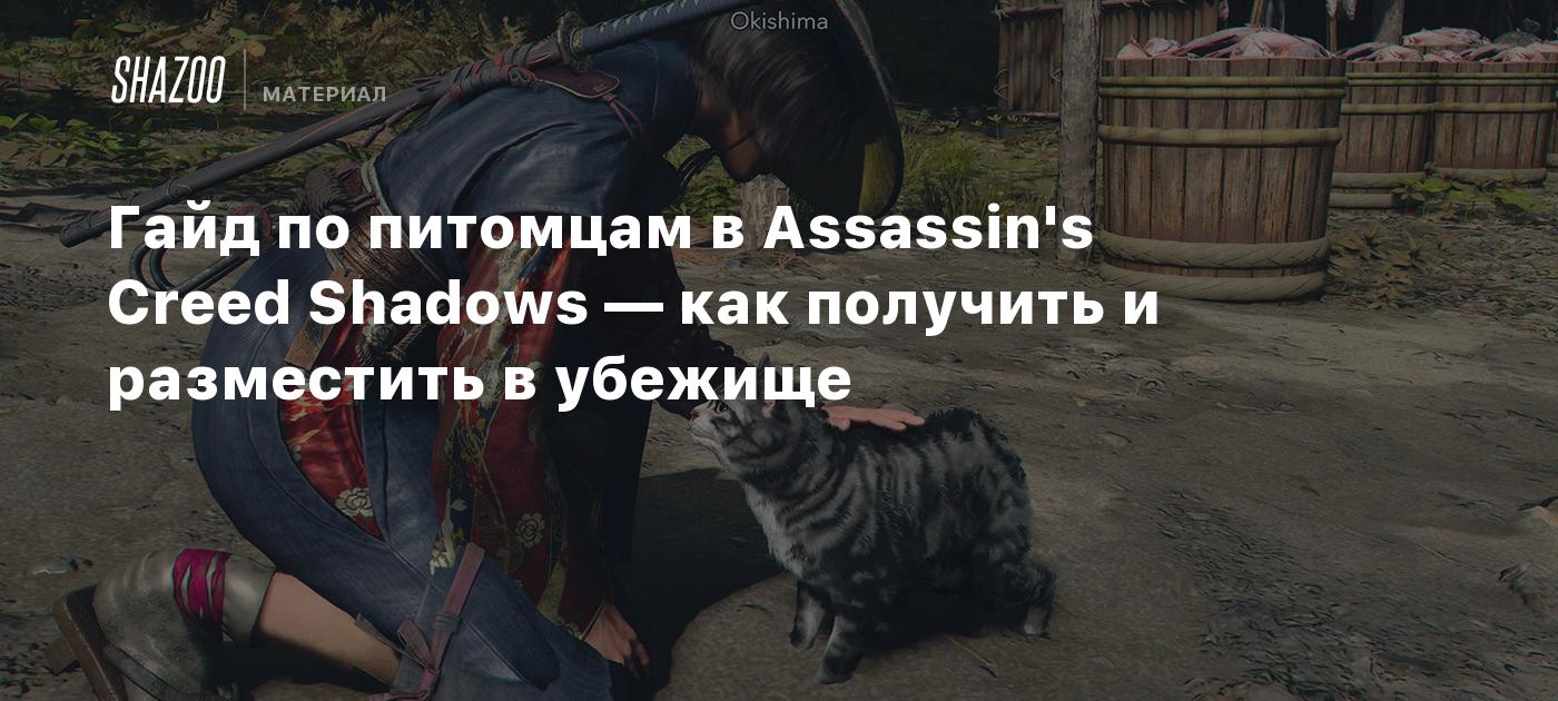 Гайд по питомцам в Assassin's Creed Shadows — как получить и разместить в убежище