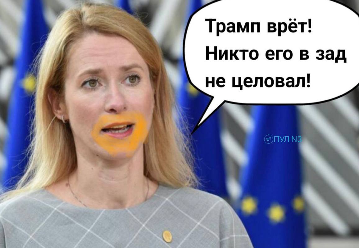 https://cdn.shazoo.ru/790773_NeH5FOY_img-20250409-204946-027.jpg