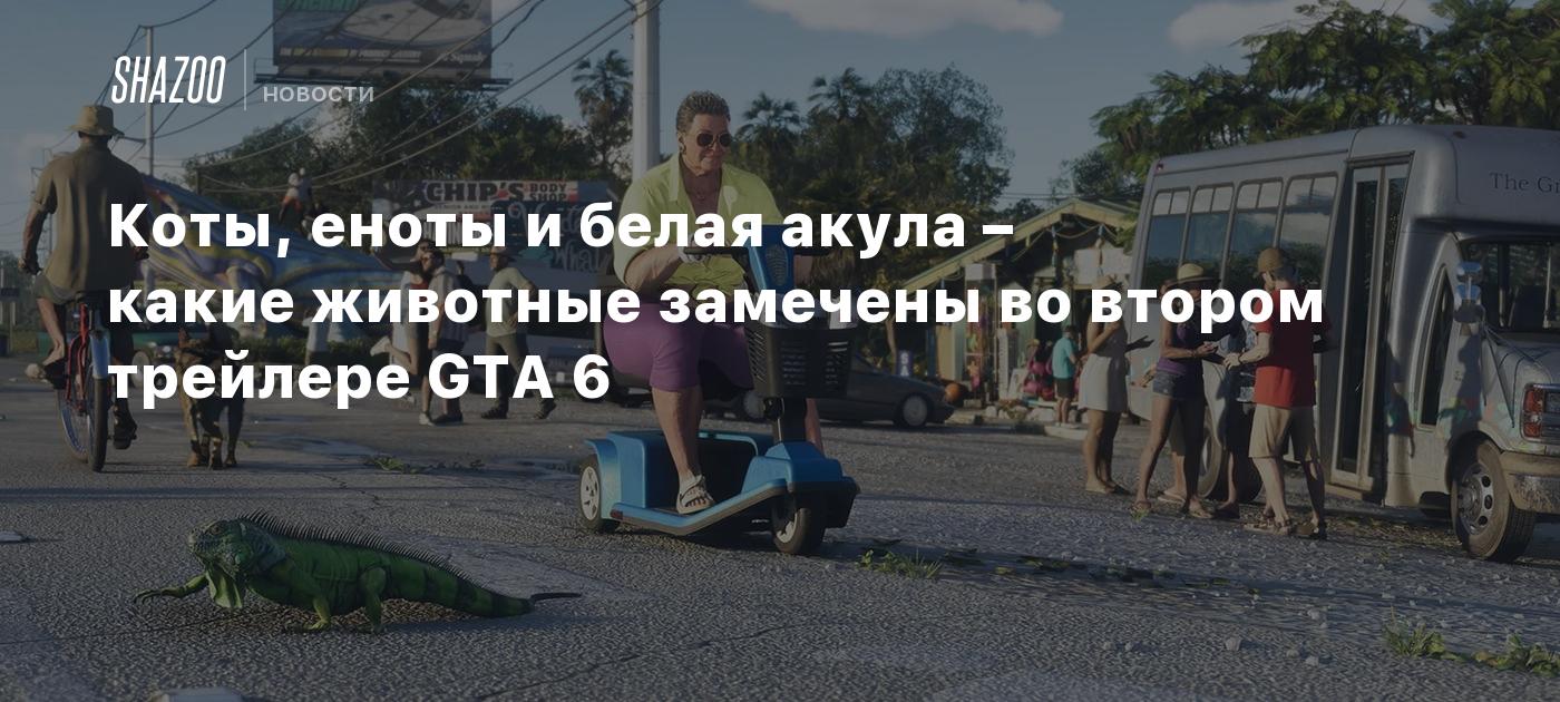 Коты, еноты и белая акула – какие животные замечены во втором трейлере GTA 6