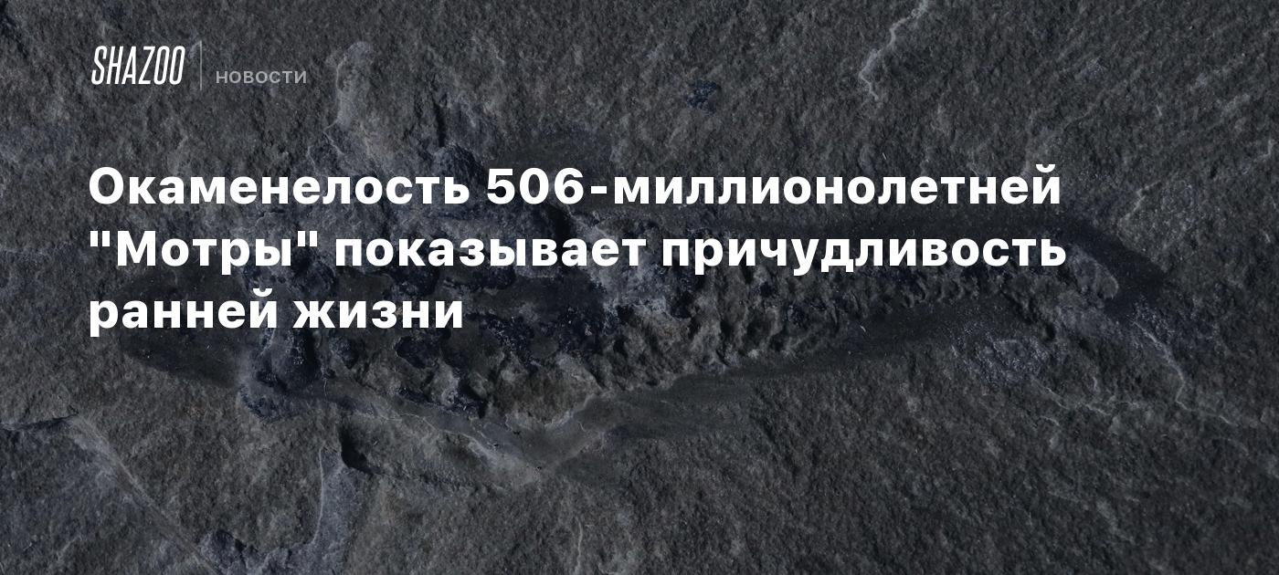 Окаменелость 506-миллионолетней "Мотры" показывает причудливость ранней жизни