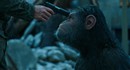 Исход — рецензия на фильм "Планета обезьян: Война"