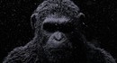 Анонс Planet of the Apes: Last Frontier — интерактивная адвенчура по мотивам фильмов