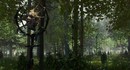 PSX 2017: Хоррор The Forest выйдет на PlayStation 4