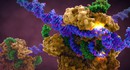 Десятки китайцев подвергаются генной модификации CRISPR для лечения рака