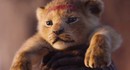 Box Office: Лайв-экшен "Король лев" собрал миллиард долларов