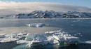 В Антарктике зафиксирована самая высокая температура за всю историю метеонаблюдений