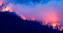 Апокалипсис в Америке — как лесные пожары превратили западное побережье в Fallout