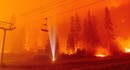 Более 50 тысяч человек эвакуируют из-за лесного пожара в Калифорнии и Неваде