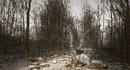 Расследование: Abandoned не находится в активной разработке