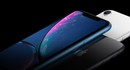 Инсайдер: Четвертое поколение iPhone SE выпустят в дизайне iPhone XR
