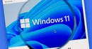 Исследование: Windows 11 установлена на каждом пятом PC