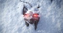 The Witcher 4 не будет сосредоточен на Геральте, но актер озвучки подтвердил, что он будет "частью" новой игры