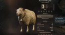 Игроки Baldur's Gate 3 только сейчас узнают про секретного барана, умеющего колдовать