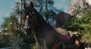 Эксперт по верховой езде назвала анимацию лошади в The Witcher 4 "одной из самых впечатляющих в истории игр"