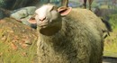 Игрок победил финального босса Baldur's Gate 3 с помощью секретного персонажа – барана