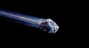 Астрофизик предложил смелую миссию для изучения межзвездного объекта 3I/ATLAS – использовать космический аппарат Juno с орбиты Юпитера