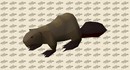 Игрок Old School RuneScape собрал почти 193 питомцев-бобров с шансом дропа 0.001% – большинство не видели даже одного