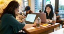 Starbucks в Корее запрещает посетителям приносить десктопные компьютеры и принтеры в кофейни