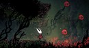 Игроки Hollow Knight удивлены откровениями о романтической жизни Хорнет
