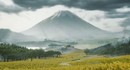 10 минут потрясающих пейзажей в новом видео Ghost of Yōtei
